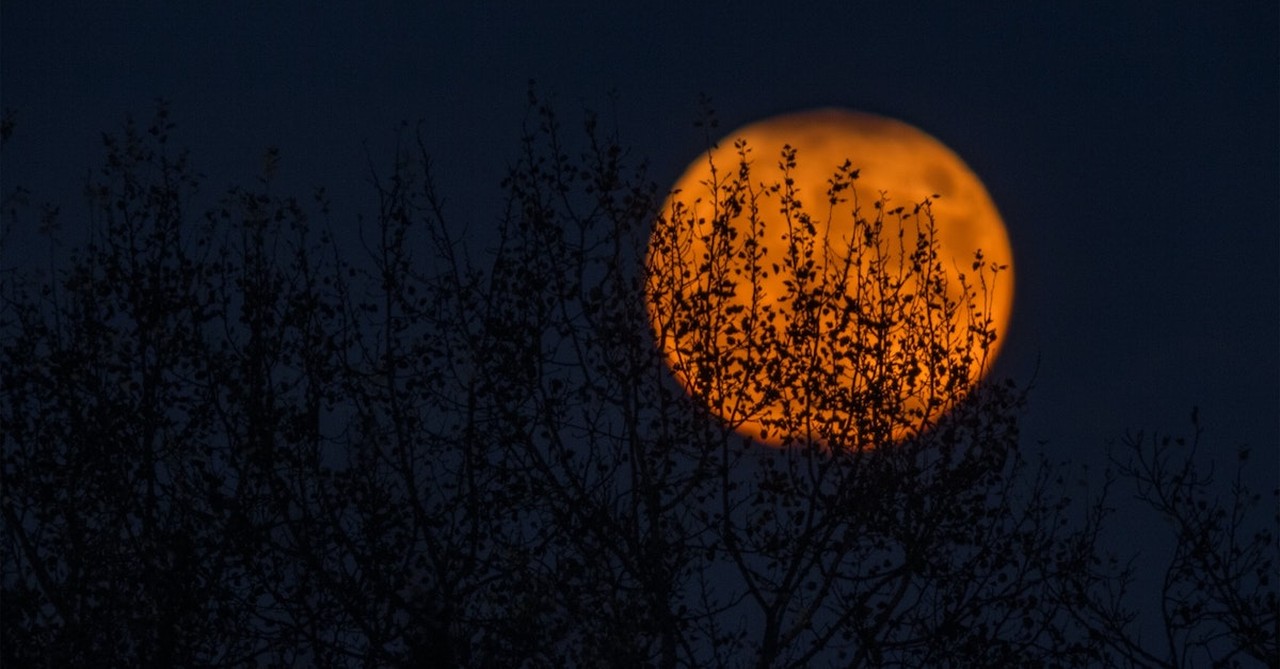 is halloween evil pagan moon