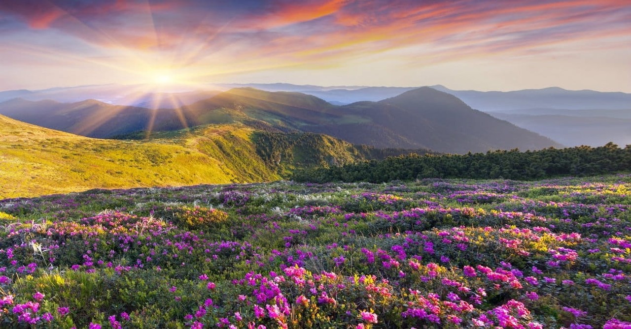 7. Giving Advances God’s Kingdom